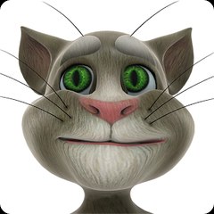TALKING TOM