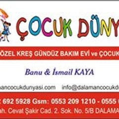 Banu Nilüfer