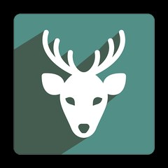 Reindeerr