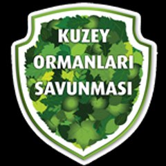 Kuzey Ormanlari Savunması