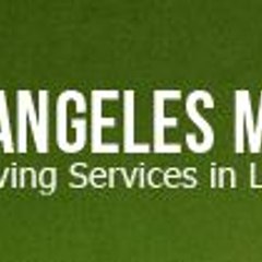 Metropolitan Movers