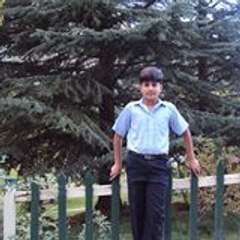 Don Areeb