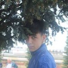 Sergen Avcı