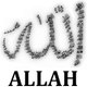Ercan Tuttu
