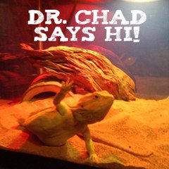 DrChadPlus