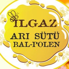 Ilgazarisutu