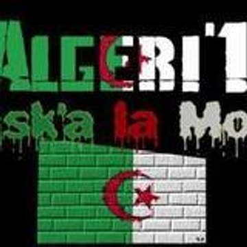 misteralgerie