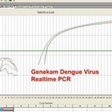 Genekam biotech