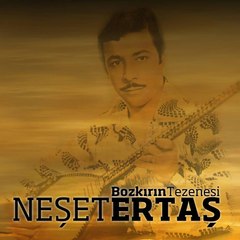 Neşet Ertaş