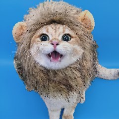 Cat lion