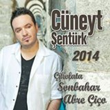 Cüneyt Şentürk
