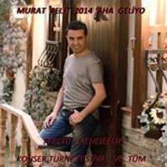 Murat Pelit