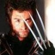 wolverine34