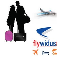 Nareshflywidus