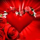 Saleem8938
