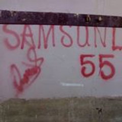 Savaş Şenol