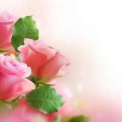 Hashim Farid