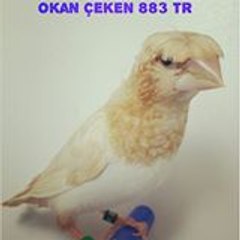 Okan Çeken