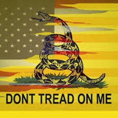 Mike Fulmer  Patriot of the Republic