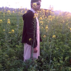 Amarsohail144