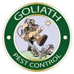 Goliathpc1