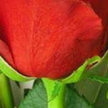 Gerce Köyü Web Sitesi
