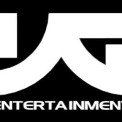 YG Family Kites