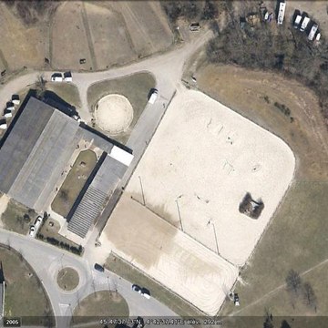 Ecurienicolasflaquin