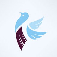 Entertainment Videos