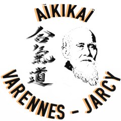 aikivj aikido