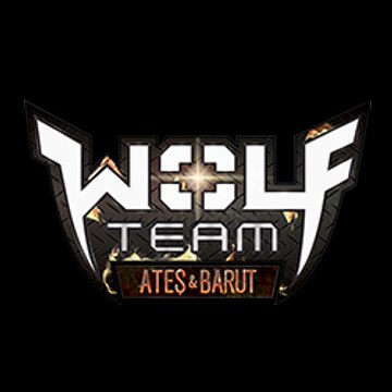 Wolfteam Joygame