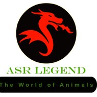 ASR Legend