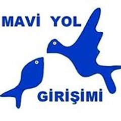 Mavi Yol Girişimi