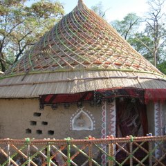 Dgculturesindh