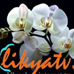 Likyatv Televizyon