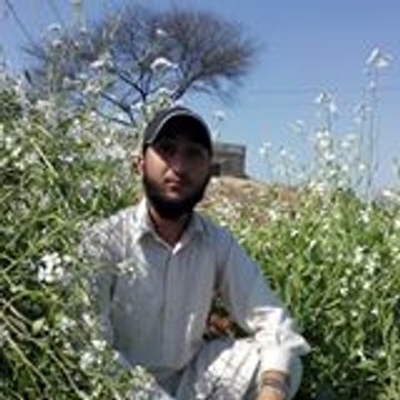 Abdul Aleem