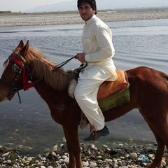 Kamilusman5