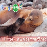 밤*의*전*쟁 분당안마시술소 일산립카페 대전 휴게텔