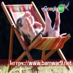 밤*의*전*쟁 역삼휴게텔 역삼건마 부전동 건마