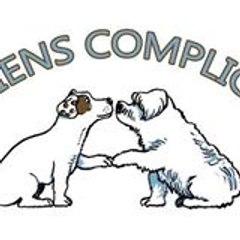 Chiens Complices