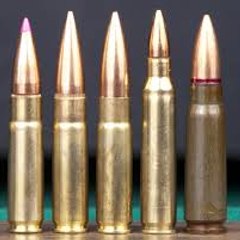 22 Cal Ammo For Sale