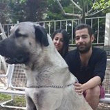 Engin Altun