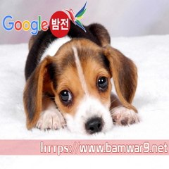 밤*의*전*쟁 부천건마 전주휴게텔 청주 가경동 휴게텔