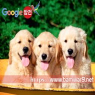 밤*의*전*쟁 광주휴게텔 광교립카페 대구 용산동 오피